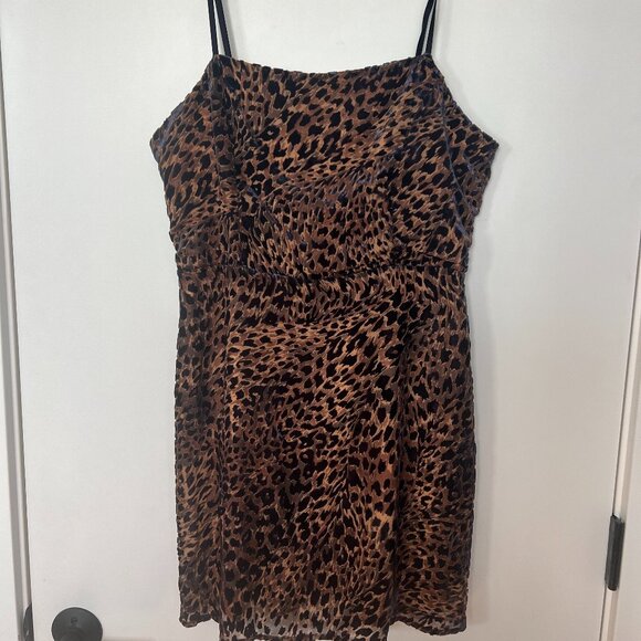 Lulu's Leopard Print Velvet Mini Dress Size Medium M - Picture 1 of 9